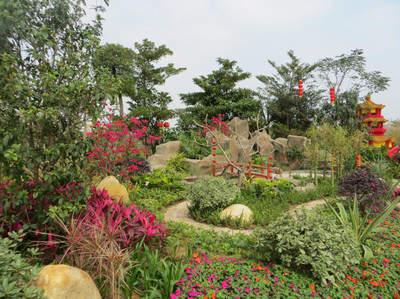 廣州園林博覽會(huì) 白云公園新春盛景，過年期間絕佳去處