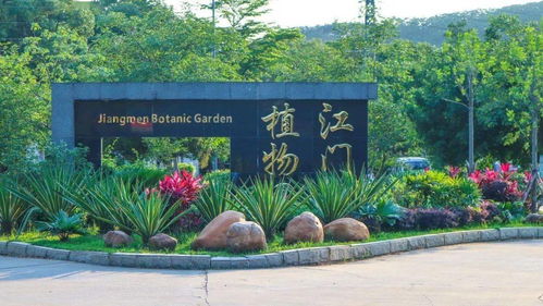 首屆杜阮羊肉美食節(jié)盛大啟動(dòng)，融合美食與冰雪體驗(yàn)